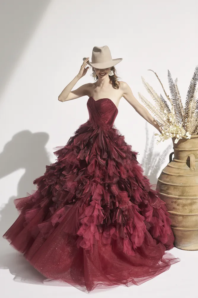 PRONOVIASの衣装