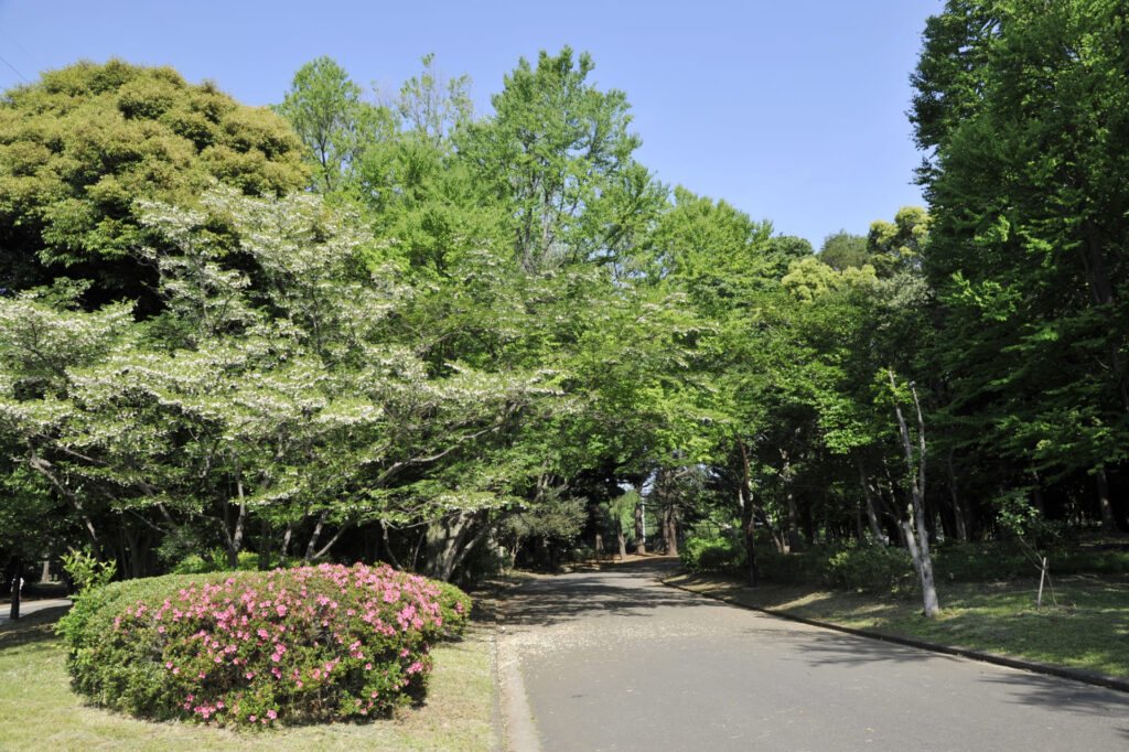駒沢オリンピック公園の歴史